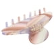 thumbnail image 3 of Clip de garra para el cabello, Clip de garra para el cabello Clip de garra fuerte Clip de garra para el cabello con gradiente Confiabilidad excepcional, 3 of 8