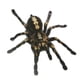 thumbnail image 1 of sweethay 1 uds/2 uds 3D pegatina de araña divertida cabeza de coche cola personalidad pegatinas de araña decoración DIY decoración Automoción decorativa y accesorios Negro sweethay CZ10675-01, 1 of 6