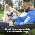 thumbnail image 5 of PetSafe Stubborn Dog In-Ground Fence for Hard-To-Train Pets, Waterproof, Tone & Static, 5 of 7