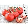 thumbnail image 4 of Homestead Heirloom Tomato Seeds, 150 Seeds Per Packet, Non GMO Seeds, 4 of 5
