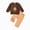 R222-Brown, variant on NOLDARES Toddler Baby Boy Fall Winter Clothes 2pcs Outfits Set Color Block/Print Graphic Long Sleeve Sweatshirt Pullover Tops Joggers Pants Clothing(Brown,12-18 M)