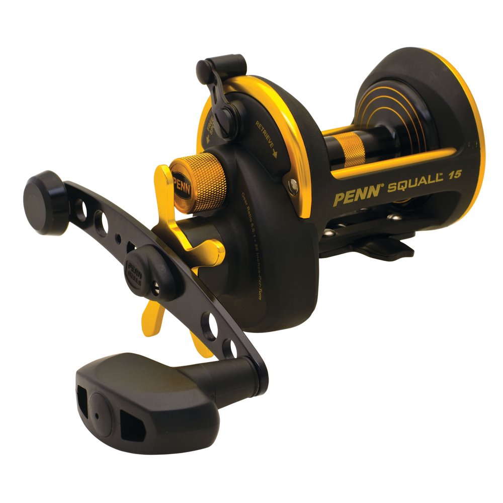 Penn Squall Star Drag Conventional Fishing Reel