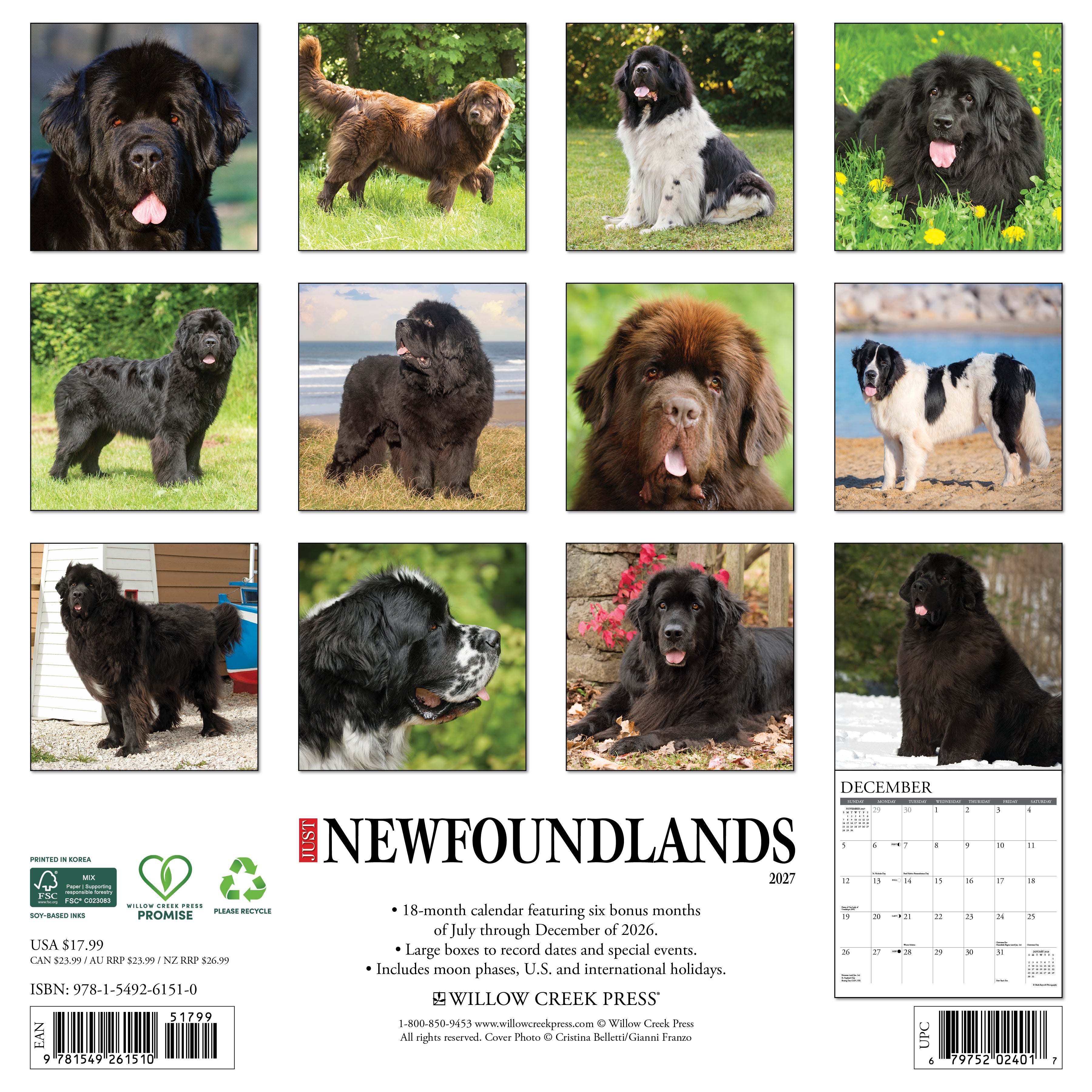 Willow Creek Press, Newfoundlands 2027 Wall Calendar
