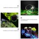 thumbnail image 3 of ADDHAT 2Ud Alimentadores Para Peces Transparentes De Acrílico Para Acuario Con Firme Y, 3 of 8