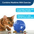 thumbnail image 4 of PetSafe Slimcat Interactive Feeder Ball for Cats, Fill with Food and Treats, Blue, 4 of 4