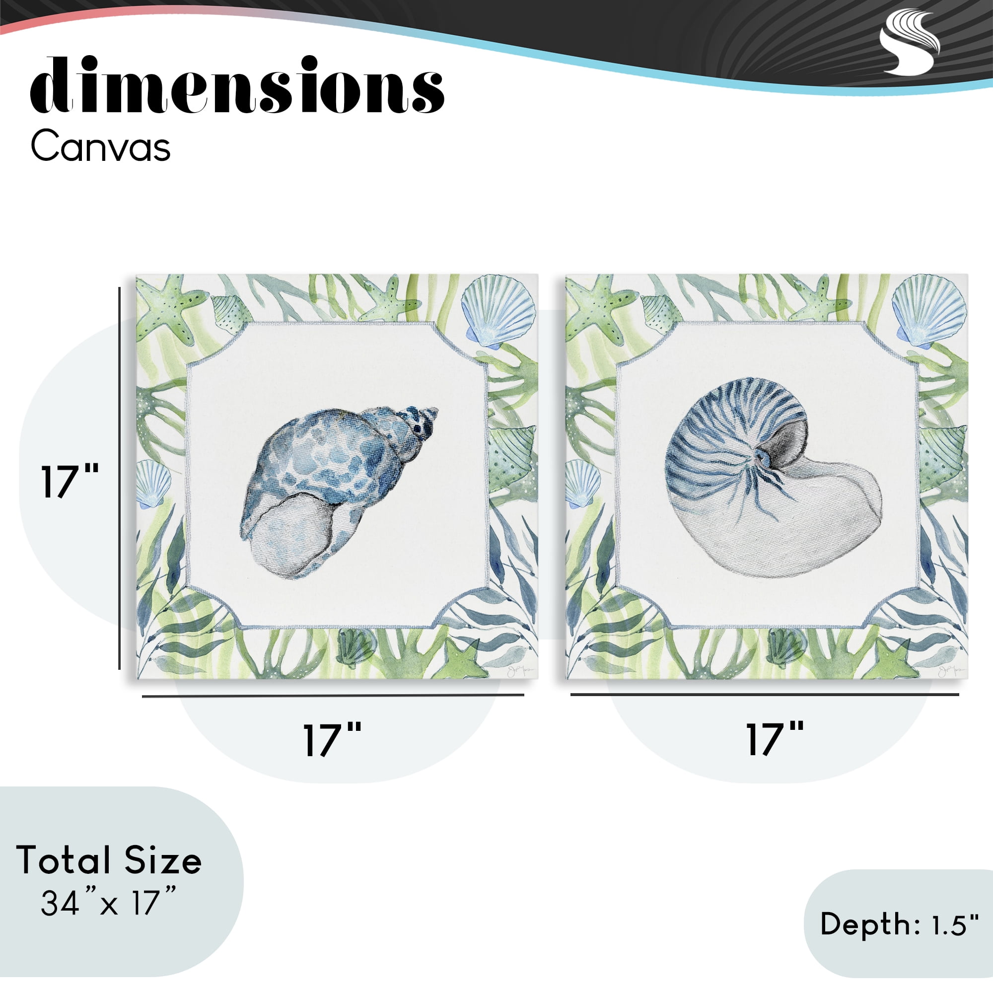 Stupell Industries Seaweed Bordered Seashells 2 Piece Canvas Wall Art Set, design by Janet Tava