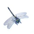 thumbnail image 2 of Libélula Insecto Modelo Repelente Mosquitos Adornos Colgantes para Acampar Al Aire Libre, 2 of 5