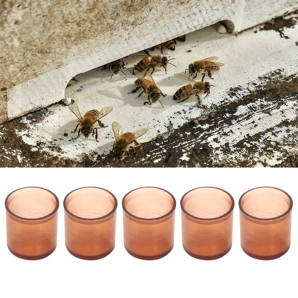 10pcs Queen Bee Cell Bar Strip Set Base for Beekeeping With Queen Cell Cups 