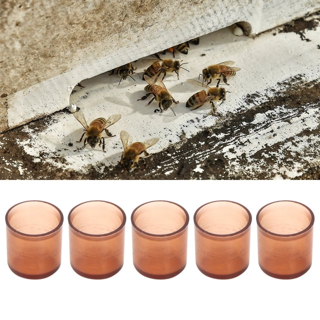 Cergrey 500Pcs Plastic Brown Cell Cups Queen Rearing Honey Bee Beekeeping Supplies,Queen Rearing System, Queen Rearing Box