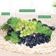 thumbnail image 5 of Racimos De Uvas Artificiales Decorativas 6.29X3.14X3.14In Imitación De Frutas para Decoración del Hogar Restaurante Eventos Y Accesorios De Fotos, 5 of 5
