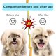 thumbnail image 5 of Peine para perros, peine para mascotas de doble cara, herramienta profesional de aseo para cepillar, quitar el pelo suelto, antipiojos y antipulgas., 5 of 5