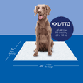 thumbnail image 2 of Scott Pet Guard Dog Pads - Dog Training Pee Pads for Large & Extra Large Dogs - Up to 12 Hour Absorbent odour Control - Easily Disposable Dog Pee Pads - Size XXL - 36" x 36" - 40 pack, 2 of 4