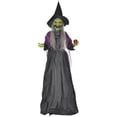 thumbnail image 1 of HOMCOM Halloween Old Witch Animatronic Prop w/ Light Up Eyes, 1 of 10