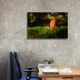 thumbnail image 3 of Epic Graffiti 'Leaf and Ant' by Philippe Sainte-Laudy, Canvas Wall Art, 40"x26", 3 of 8