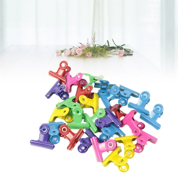 RENACLIPY 24Pack Bag Clips for Chips Metal Assorted Color Clips for Recipes Storage
