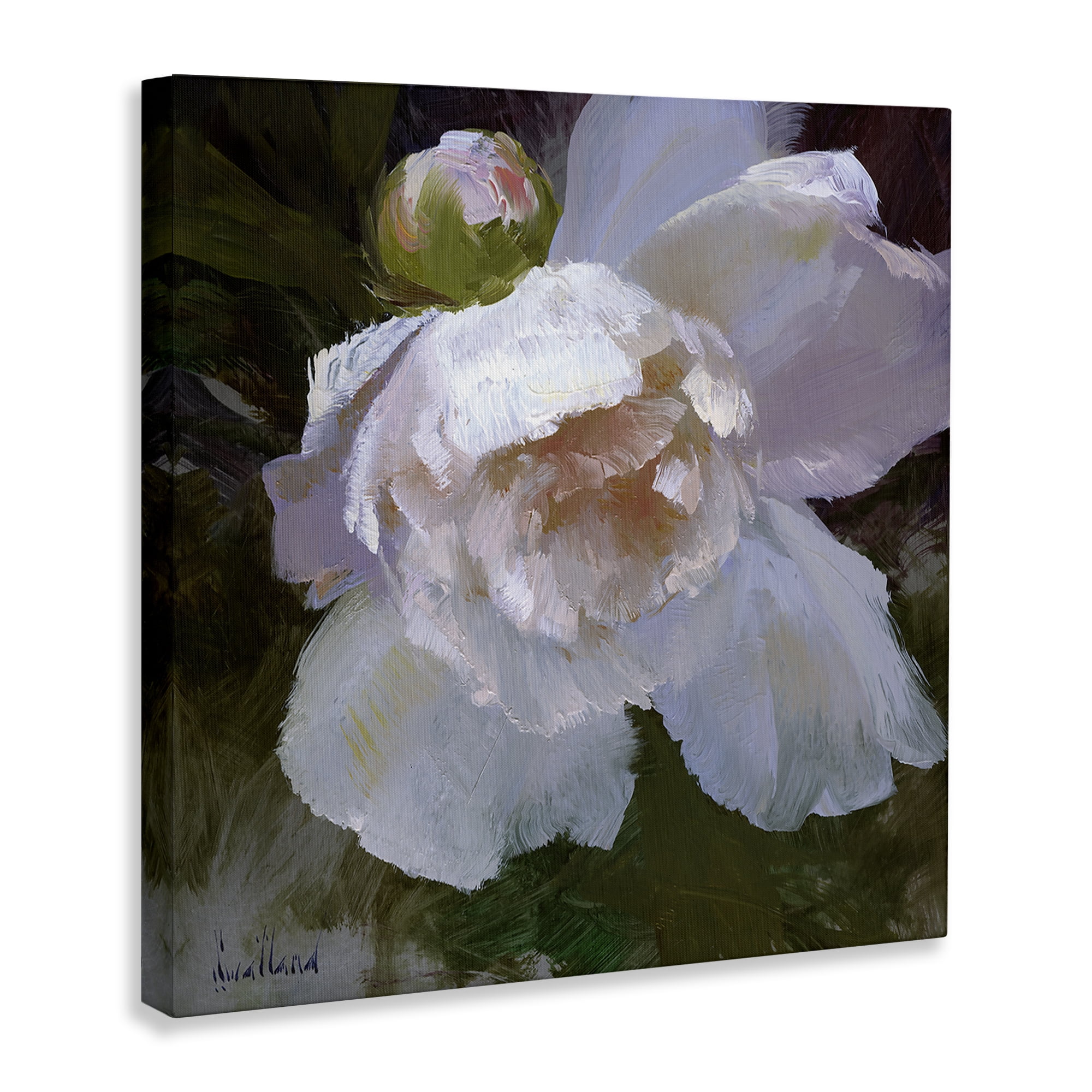 Stupell Industries Ruffled Petals White Flower Plants & Flowers Painting Wrapped Canvas Art Print Wall Art, 30 x 30