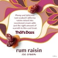 Haagen Dazs Rum Raisin Ice Cream, Gluten Free, Kosher, 1 Package, 14oz