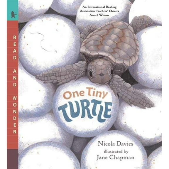 Pre-Owned One Tiny Turtle: Read and Wonder (Paperback) 0763623113 9780763623111