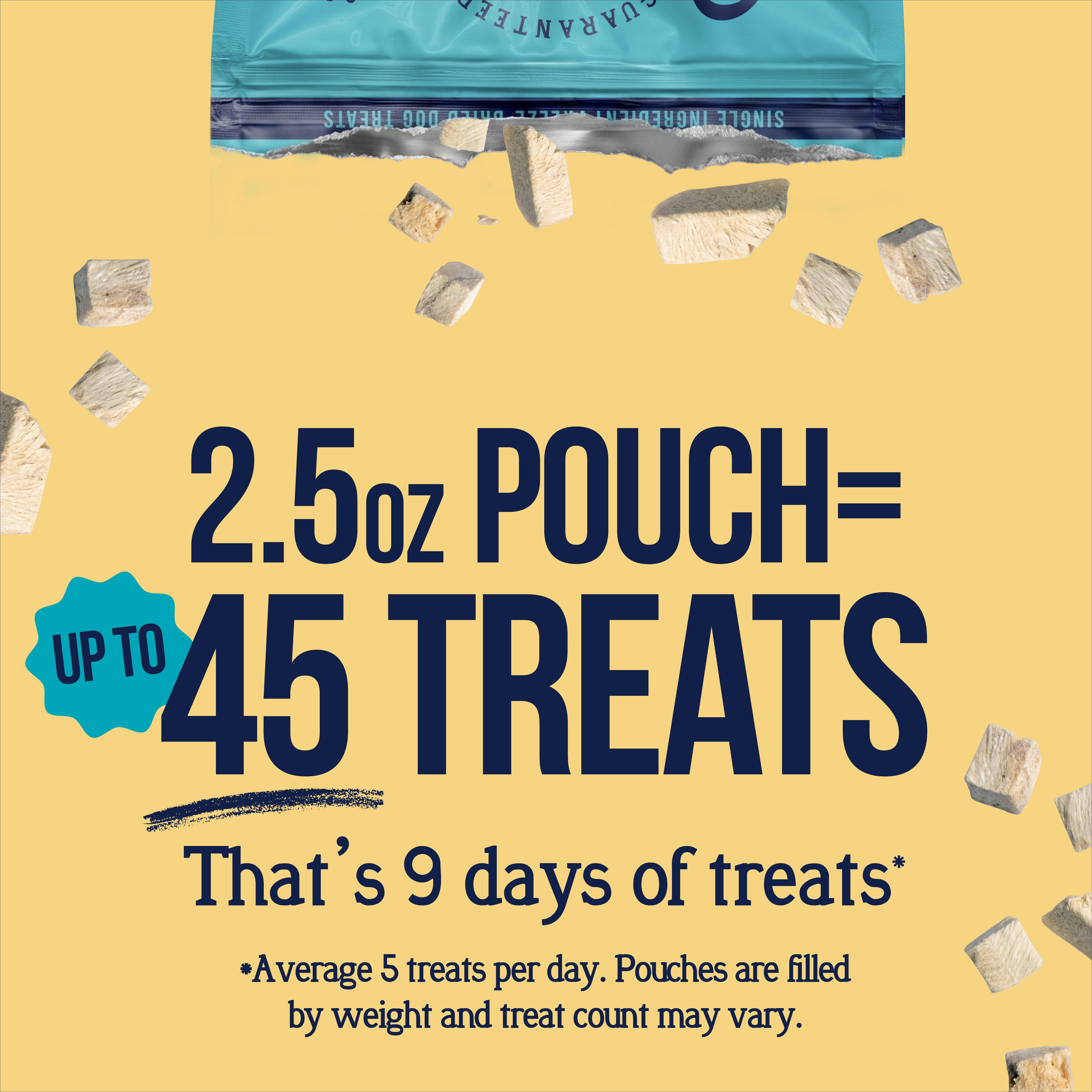 Stewart Freeze Dried Raw Chicken Breast Training Treats, 2.5 oz photo 4