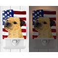 thumbnail image 2 of Carolines Treasures SS4247CNL USA American Flag with Border Terrier Ceramic Night Light, 6x4x3, Multicolor, 2 of 2