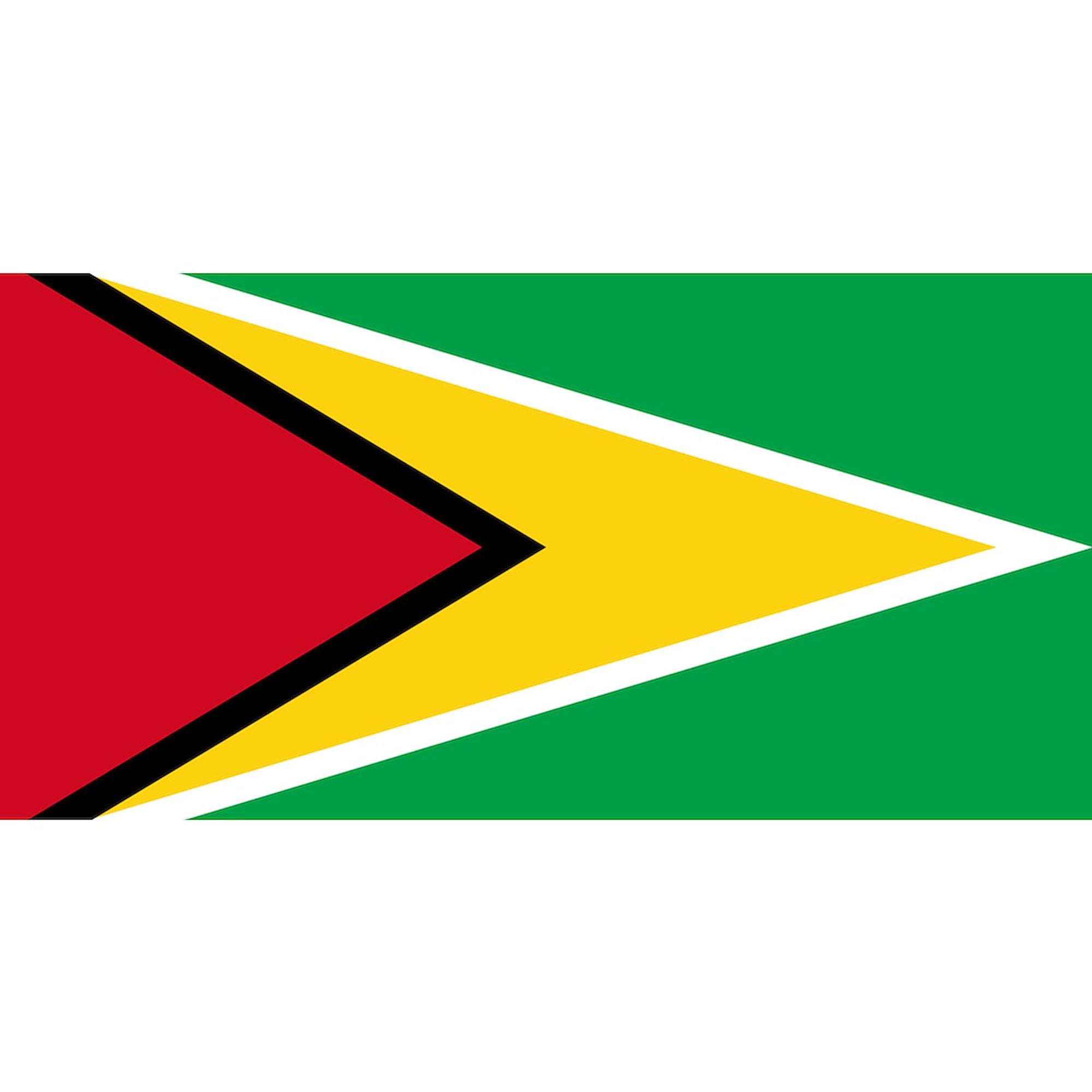 CafePress - Flag Of Guyana - Large Beach Towel, Soft 30"x60" Towel with Unique Design