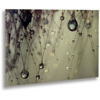 Beata Czyzowska Young 'Forgotten Wishes' Floating Brushed Aluminum Art