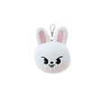 thumbnail image 4 of Llavero de juguetes de peluche de Skzoo, accesorios colgantes de 16cm, muñecas de peluche de Stray Kids, animales de peluche de dibujos animados Kawaii, regalo para fanáticos, 4 of 5