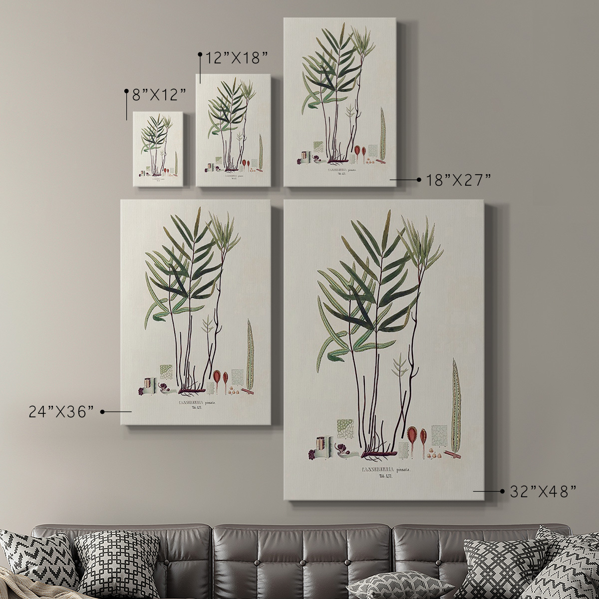Botanical Society Ferns XI Premium Gallery Wrapped Canvas - Ready to Hang