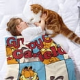 thumbnail image 2 of Grumpy Cat - Gato Gruñón anti-pilling, suave, ligera, esponjosa y acogedora de lujo para hogar y cocina – Perfecta para niños y adultos,200X150cm, 2 of 6
