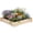 Natrual-5, variant on SolaceHue Raised Garden Bed, 49"x49"x10" Wood Planter Box Kit w/Compost Bin & Open-Ended Bottom for Vegetables, Flowers, Herbs, Fruits, Elevated Square Planting Bed for Patio, Backyard, Garden