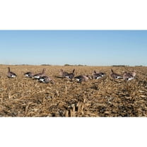GHG Decoy Systems Pro Grade FFD Specklebelly Goose Silhouette Decoys