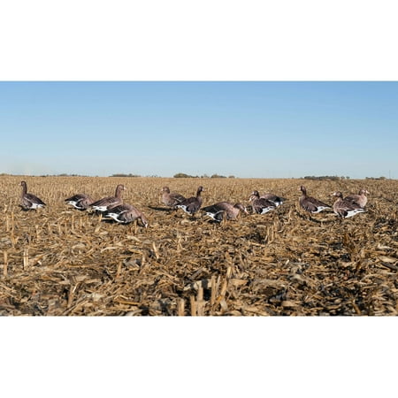 GHG Fully Flocked Silhouette Specklebelly Goose Decoys