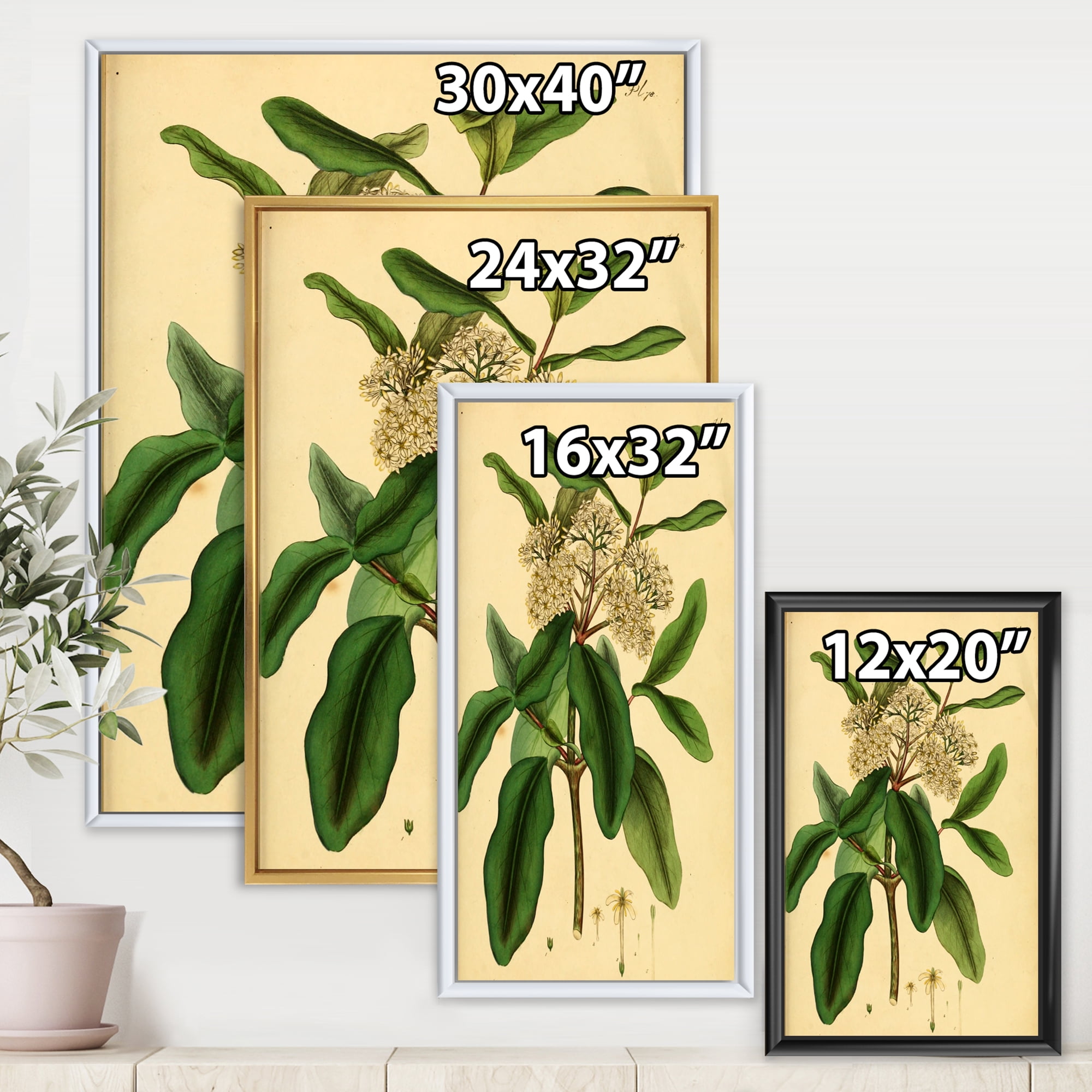 Designart 'Ancient Plant Life I' Traditional Framed Canvas Wall Art Print