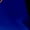 Royal Blue, variant on Stepping Into My 50th Birthday Like a Boss, 50 Year Old Woman's B-day, Black T-Shirt, Medium