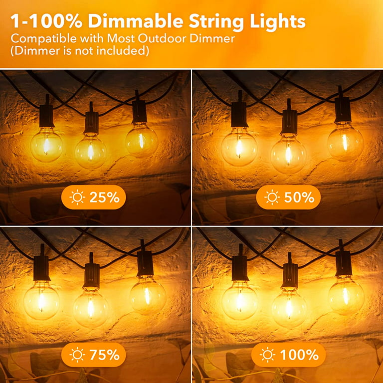 DAYBETTER Outdoor String Lights,100ft,with 50 G40 Edison Vintage  Bulbs,Waterproof for Patio Garden Gazebo Bistro Cafe Backyard