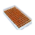 thumbnail image 3 of jifeng Artificial DIY Miniature Flower Cluster Grass Tufts Diorama Layout Scenery Model Orange, 3 of 9