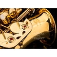 thumbnail image 4 of Saxofón Alto Glory Gold Laquer E Flat con 11 cañas, 8 almohadillas, cojines, estuche y kit de cuidado, 4 of 5