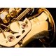 thumbnail image 4 of Saxofón Alto Glory Gold Laquer E Flat con 11 cañas, 8 almohadillas, cojines, estuche y kit de cuidado, 4 of 5