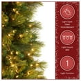 thumbnail image 4 of National Tree Company 9 ft. Pre-Lit Carolina Pine Slim Artificial Christmas Tree with 800 Clear Lights, Slim Profile, 4 of 10