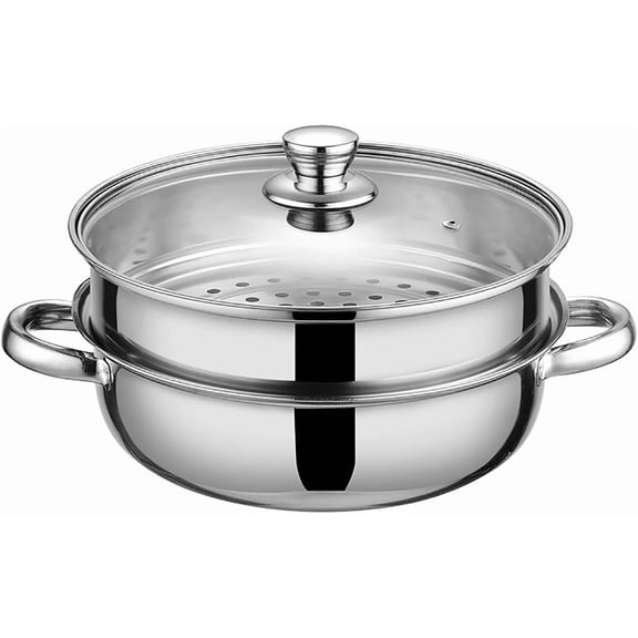 Steamer for Cooking,28cm Steamer Pot with Glass Lid,11 inch Steam Pots with Lid 2-tier for Cooking Veggies Fish Seafood Noodles, Pasta,