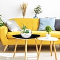 thumbnail image 2 of 2 Pcs Glass Planters Glass Fish Bowl Glass Flower Pots Succulent Planter Pot Round Flower Vase, 2 of 9