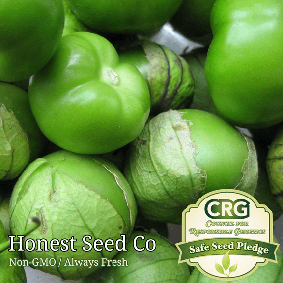 50  Tomatillo Seeds | Green Tomato Seeds Non-GMO