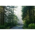 thumbnail image 2 of Highsmith, Carol 18x13 Black Modern Framed Museum Art Print Titled - Lady Bird Johnson Grove in Northern California, 2 of 4