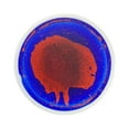 thumbnail image 1 of Abbracc Tuile de Jeu Liquide Colorée pour Enfants Tuiles Sensorielles Rondes pour Garçon Fille Enfants Rouge et Bleu, 1 of 9