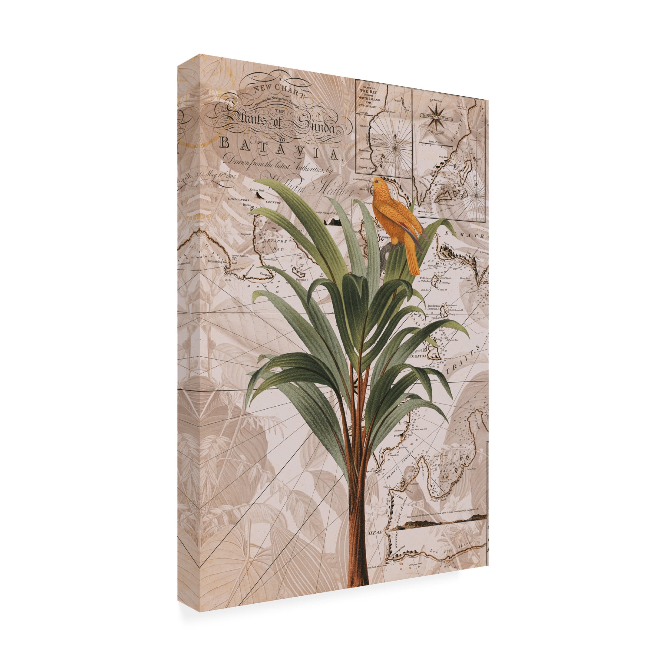 Trademark Fine Art Andrea Haase  Indonesia Jungle Paradise No2 Canvas Wall Art