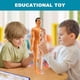 thumbnail image 5 of Modelo de anatomía del cuerpo humano en 3D Juguete de esqueleto de plástico para niños Ayudas para el aprendizaje temprano de la ciencia Educación, 5 of 5