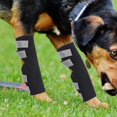 thumbnail image 5 of Pet knee protection joint sheath bracket (S) black 1 pair, 5 of 5