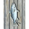 thumbnail image 1 of 11 x 15 in. Fish Trout Flag Garden Size, 1 of 1