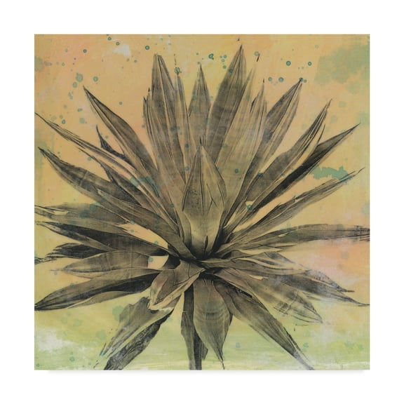 Trademark Fine Art 'Desert Dreams I' Canvas Art by Naomi McCavitt