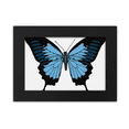thumbnail image 1 of Butterfly modelo en azul oscuro Marco de Fotos de escritorio imagen Arte Negro Pintura 5x7 pulgadas, 1 of 4